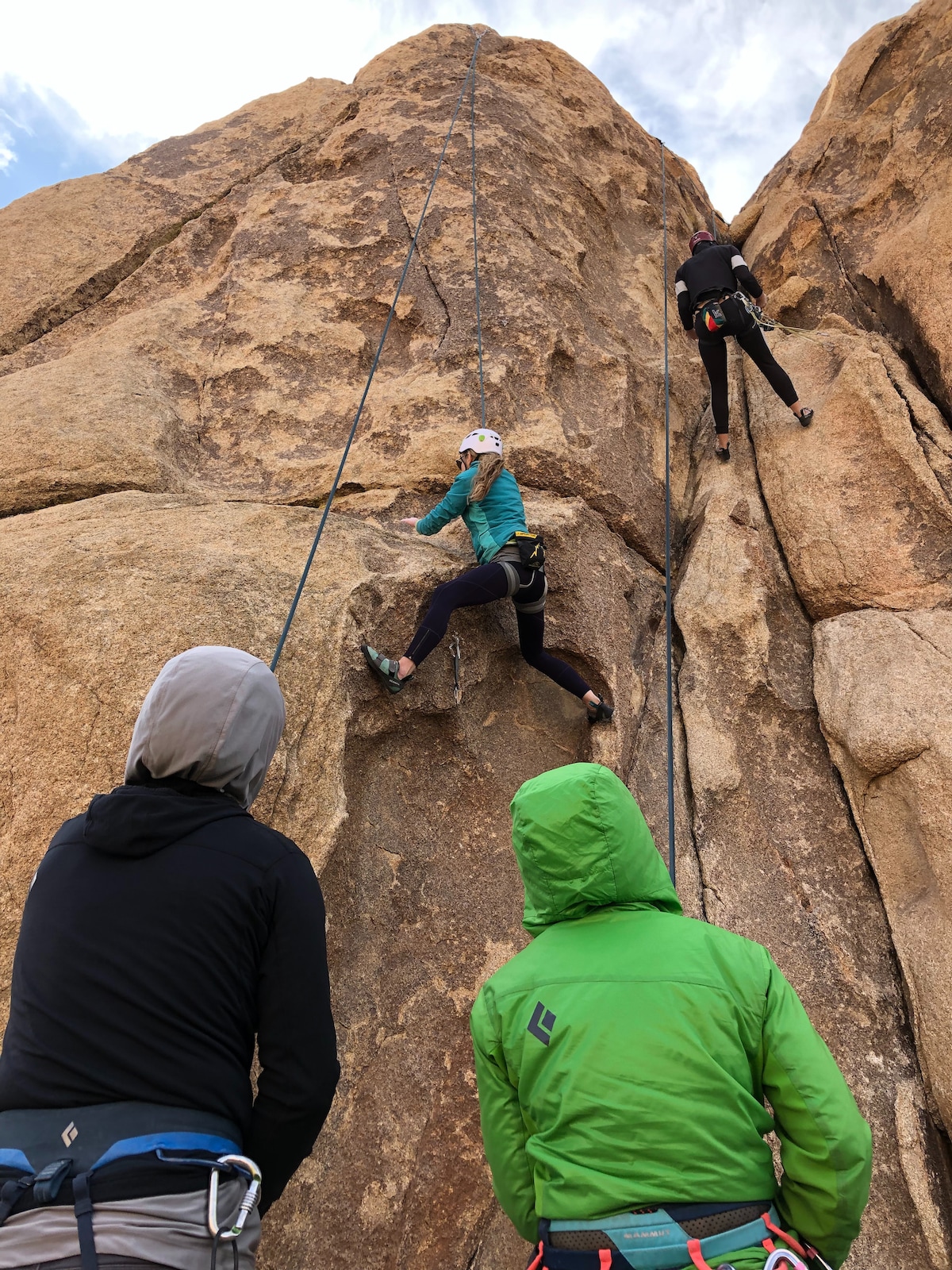 Las mejores actividades de Joshua Tree | Visitas y experiencias únicas -  California, Estados Unidos | Airbnb