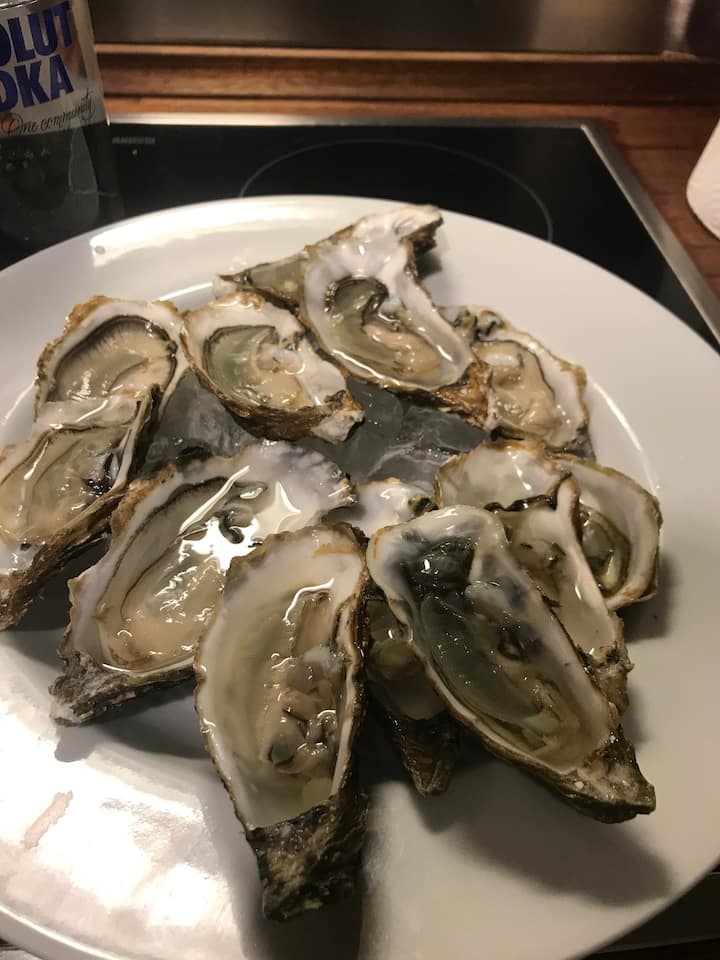 Fresh Local oysters 