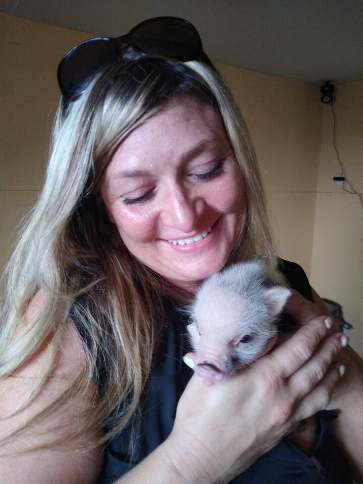 Love little piglets!