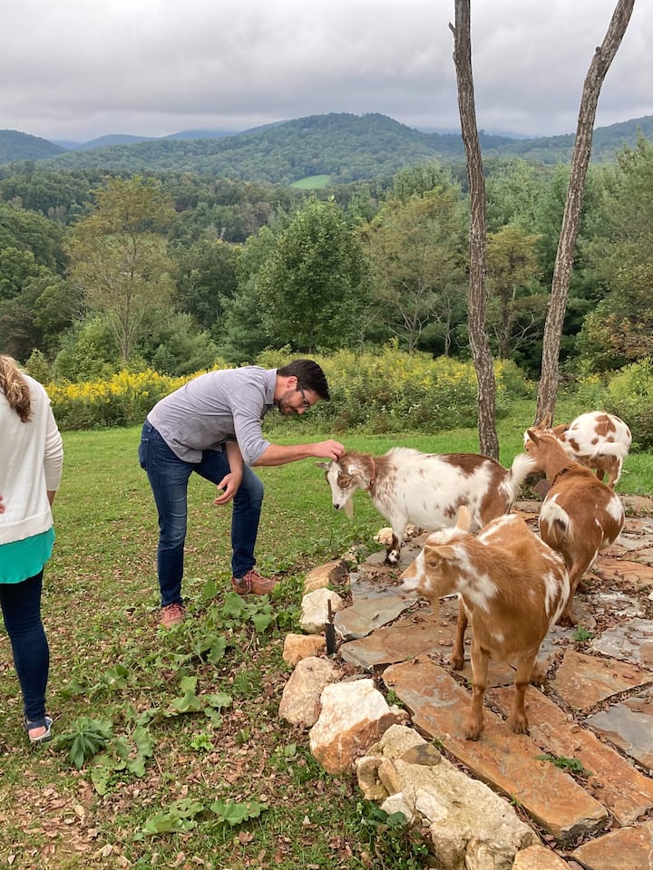 Things to Do in Boydton 5Star Authentic Experiences