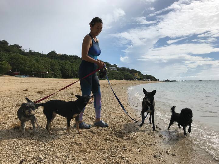 愛犬と沖縄満喫 やんばるの山々へ トレッキング トレラン体験 Airbnb