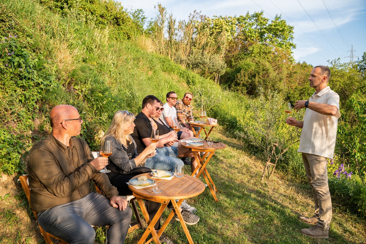 Sunset wine tasting in family vineyard · ☆4.98