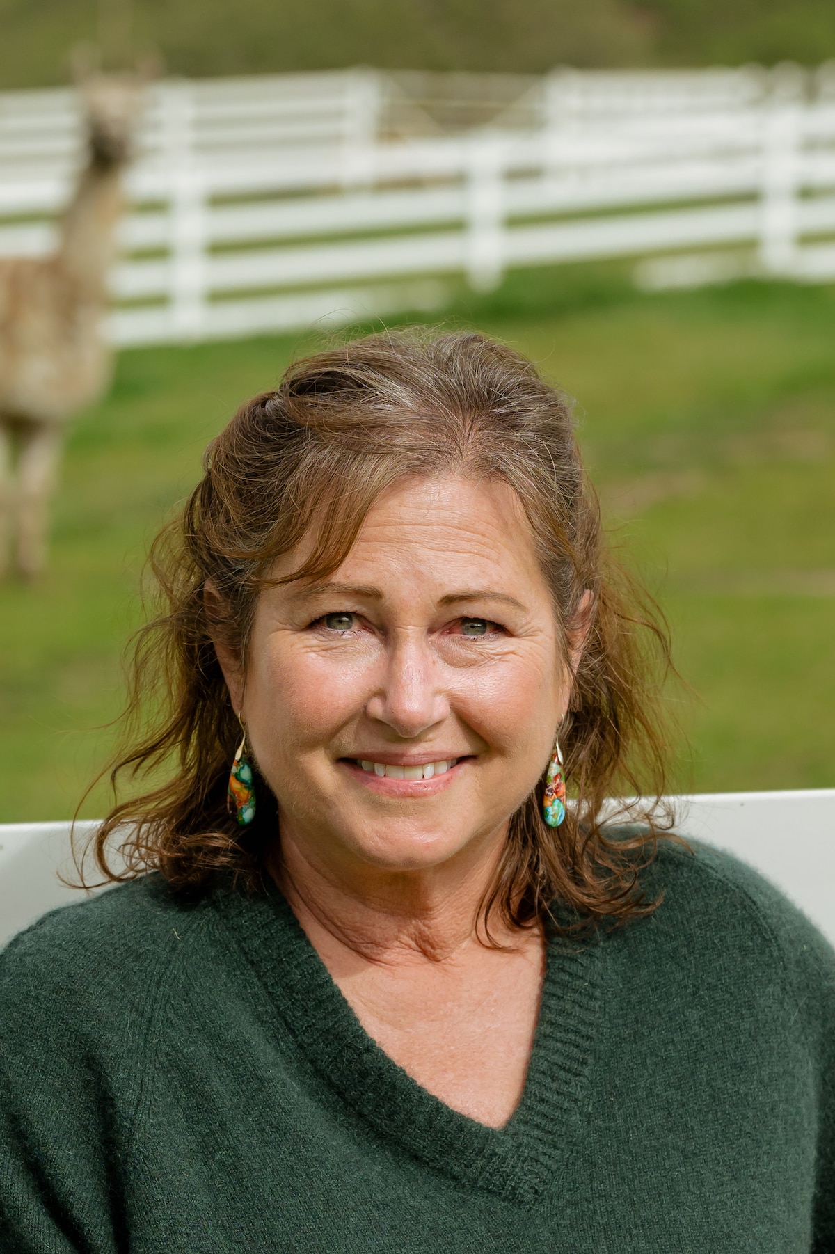 Wander a scenic farm with friendly alpacas