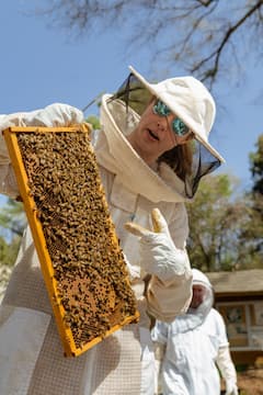 Beekeeping and Honey Tasting