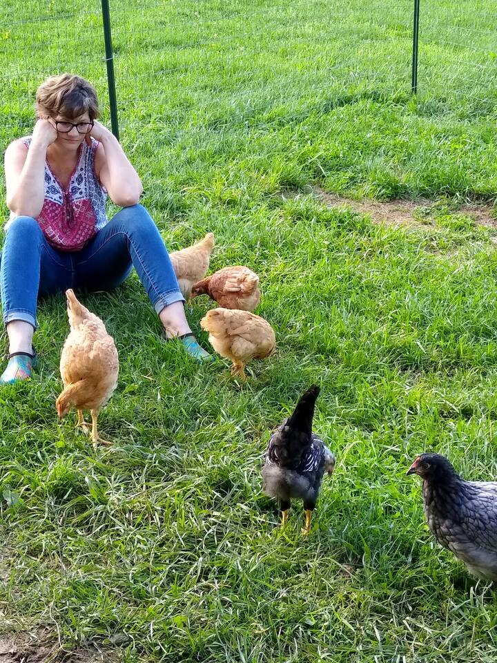 Things to Do in Boydton 5Star Authentic Experiences