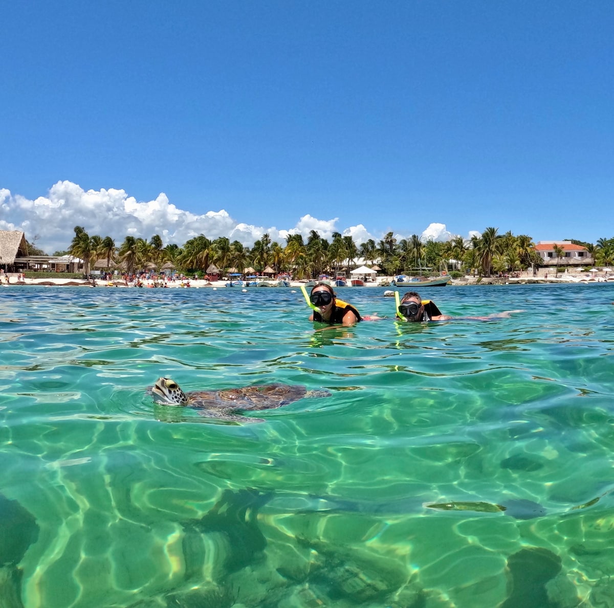 airbnb tours tulum