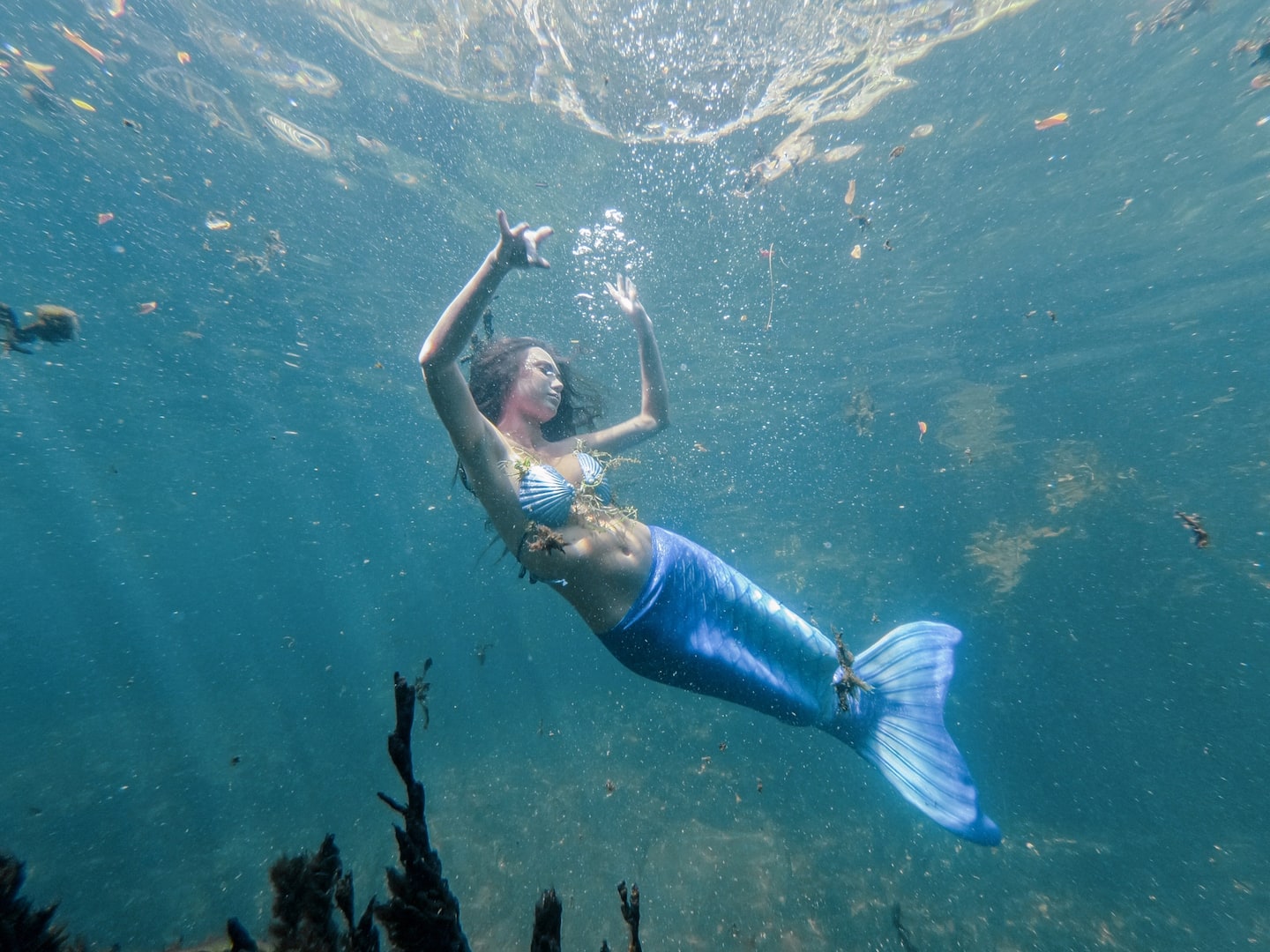 woman in mermaid tail swimming underwater in a tulum photoshoot
