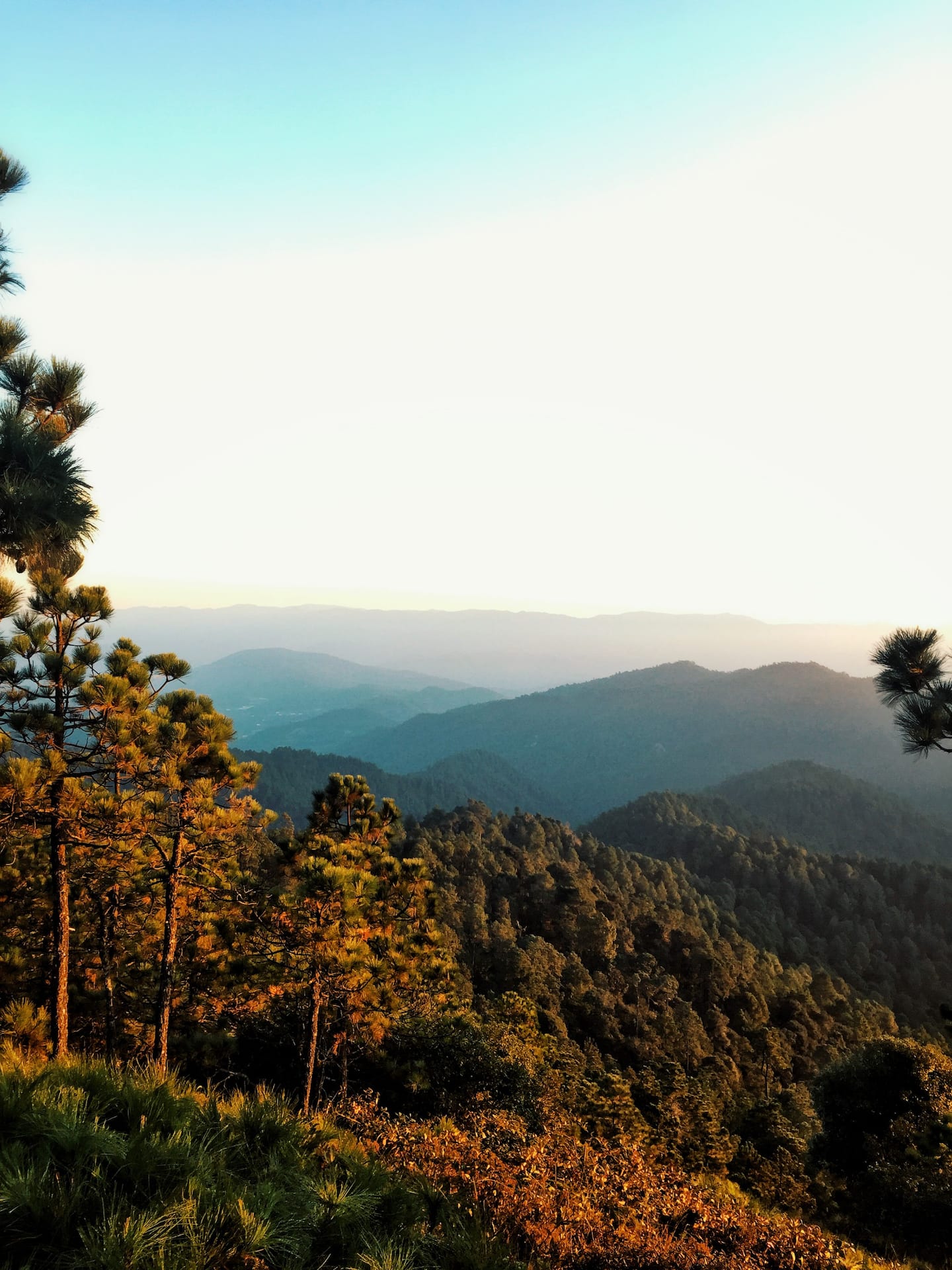 15 Best Oaxaca Nature Tours for Outdoor Enthusiasts [2024] | Travel ...