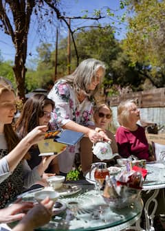 Tea with Hummingbirds at The Hummingbird Sanctuary