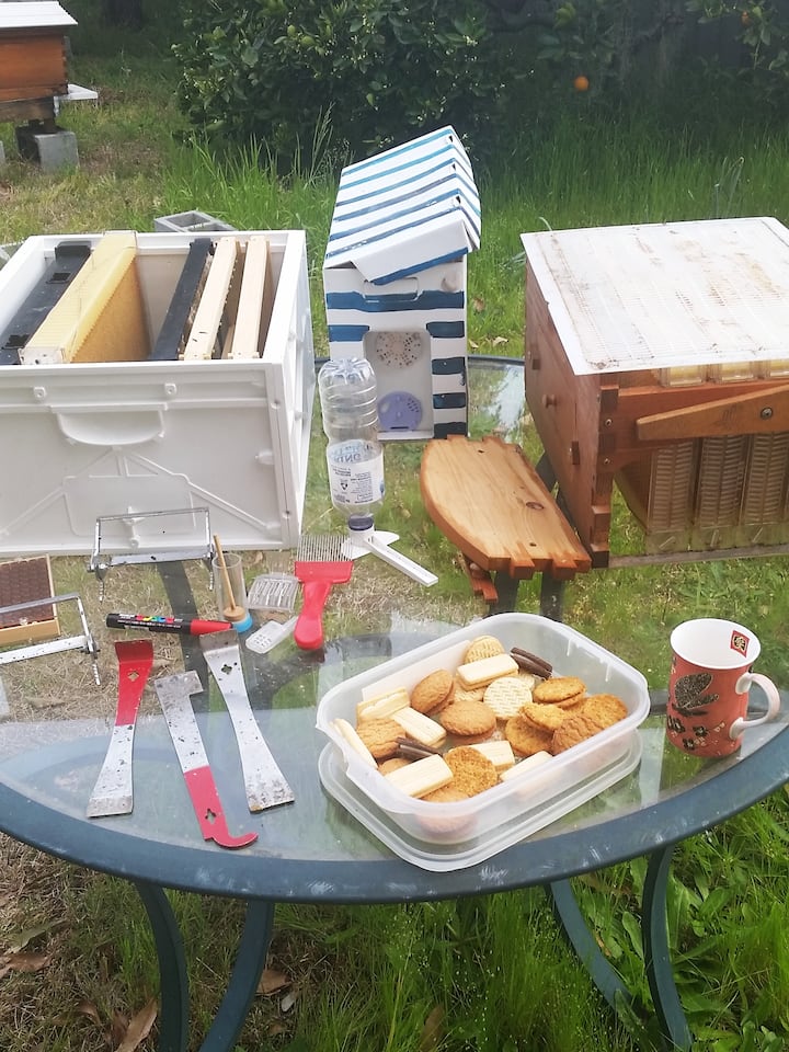 Tools and equipment for beekeeping