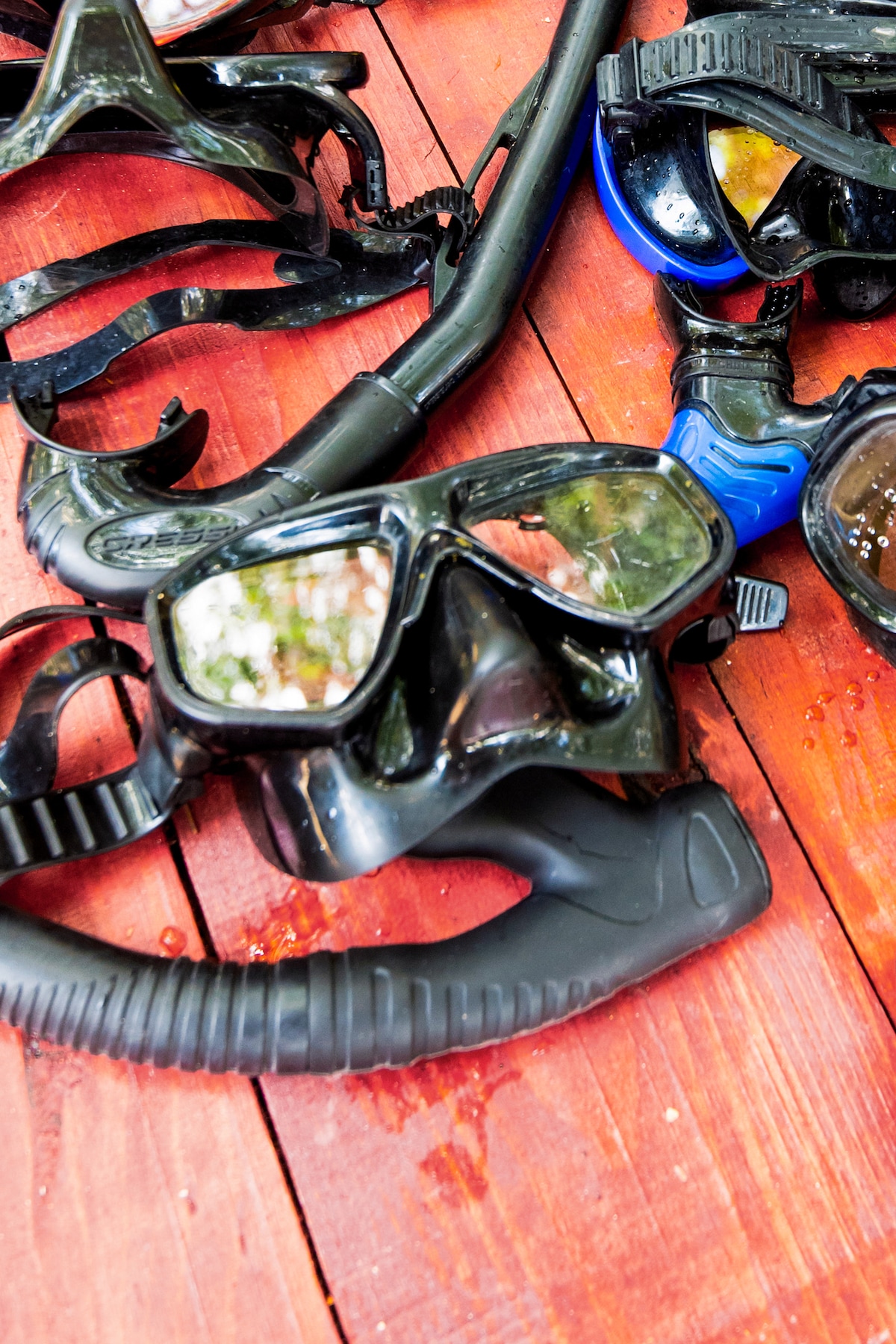 Snorkel in hidden cenotes and try authentic tacos