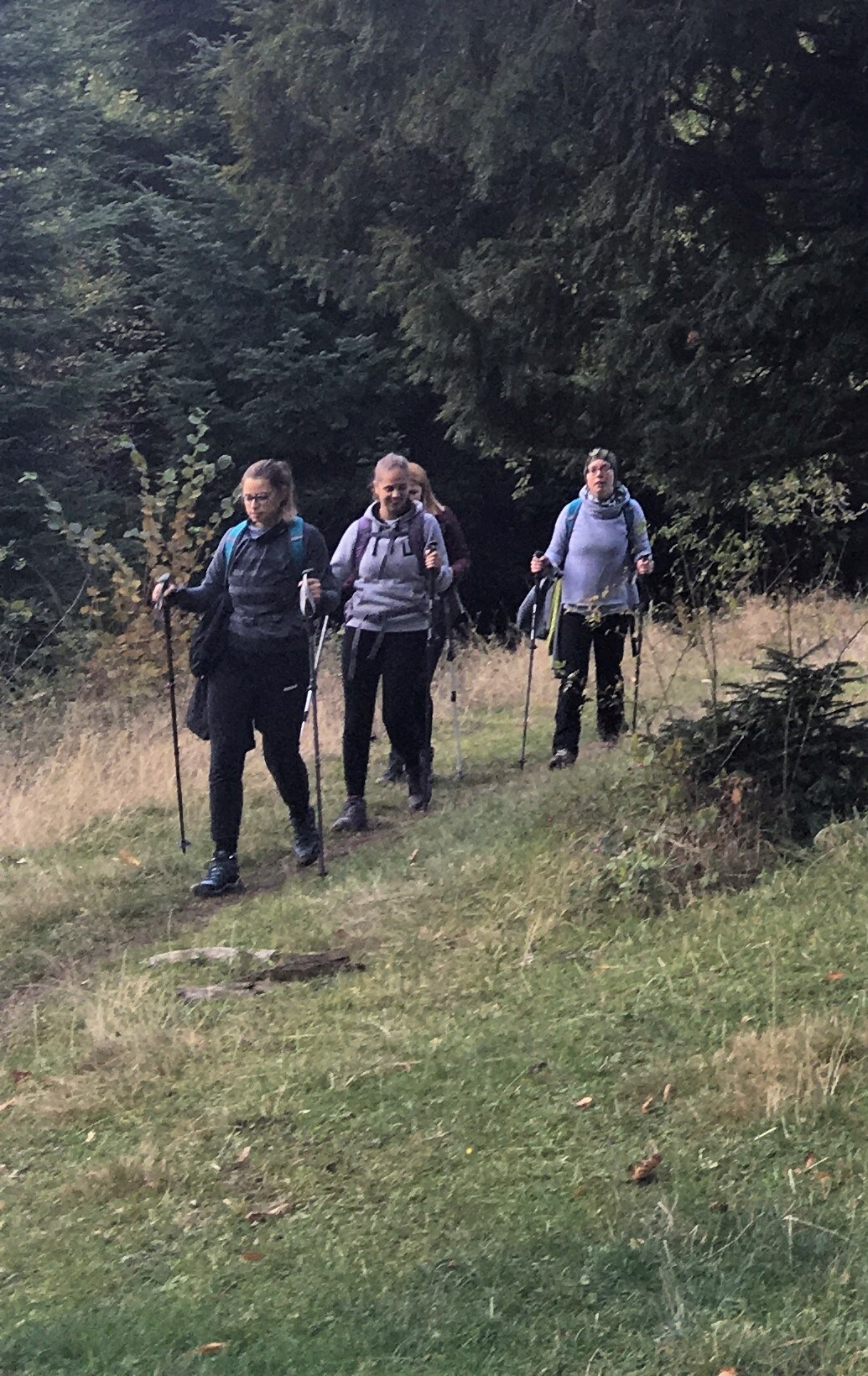 Things to do in Trakošćan Experiences, Activities, Tours & More