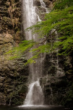 Hike Minoh's trails and relax by a giant waterfall