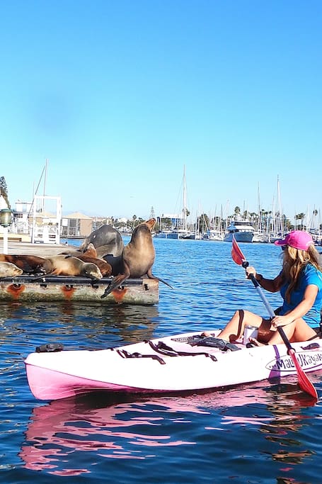 Airbnb Marina Del Rey Ferienwohnungen Unterkunfte