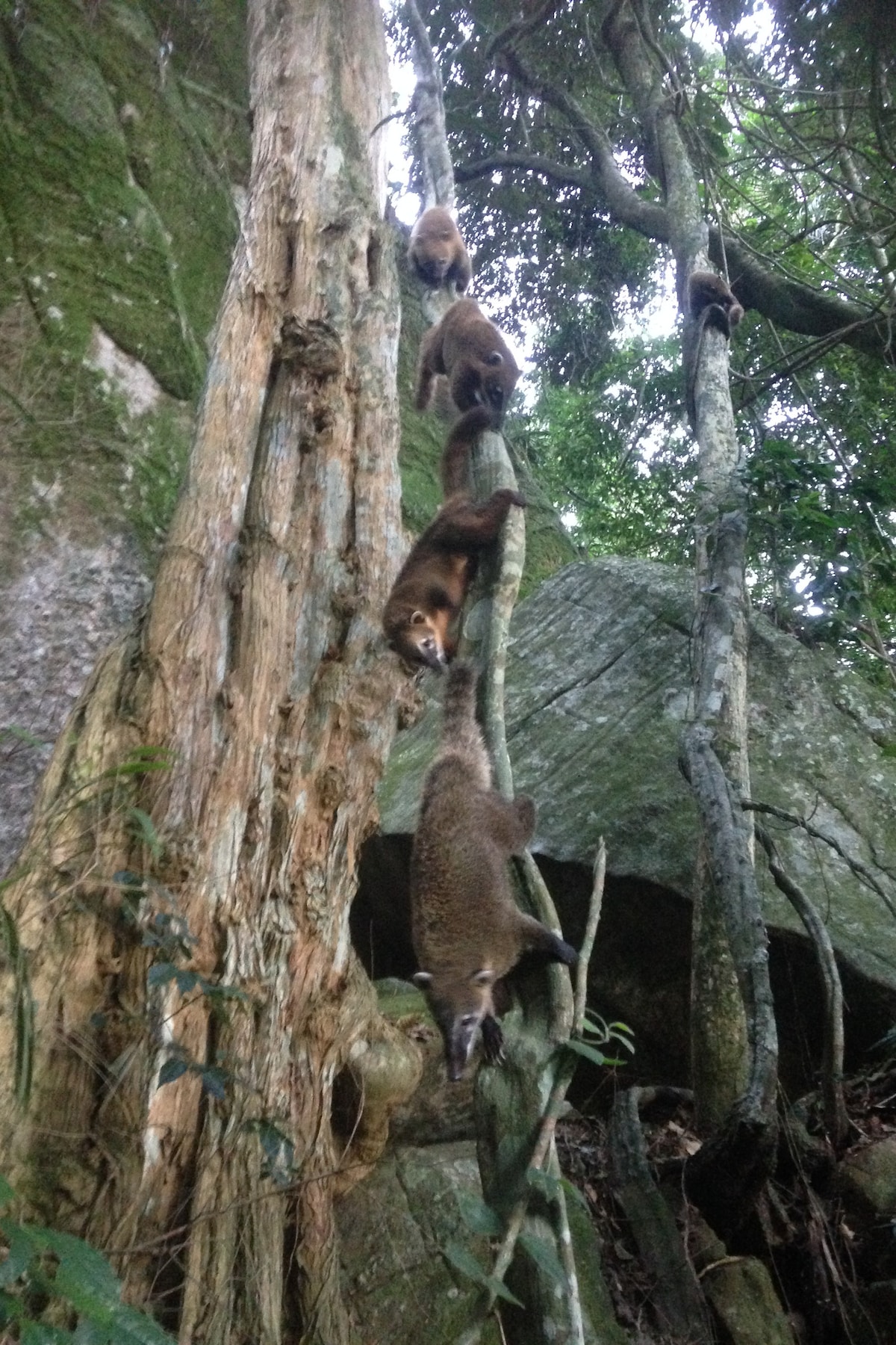 Best Things to Do in Copacabana Beach | Unique Tours & Activities - Rio ...
