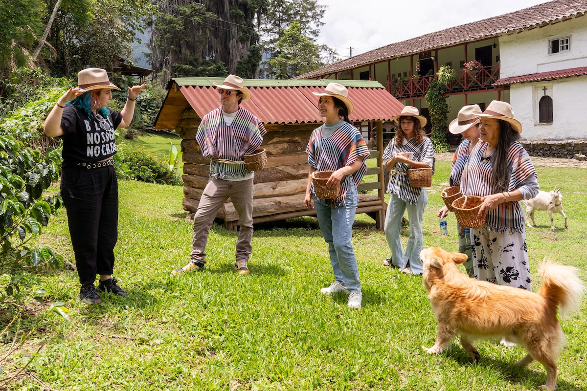 Plant, harvest, and taste Colombian coffee