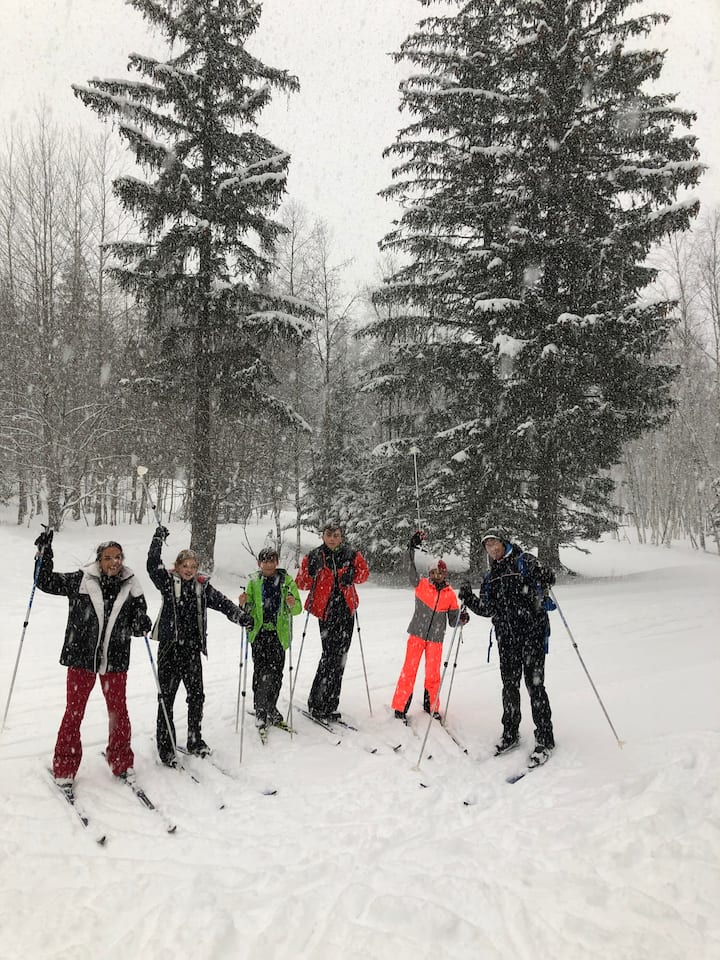 Groupe en ski de fond à Chamonix 