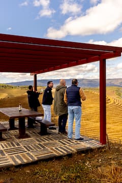 Viñedos de Portugal: el Duero
