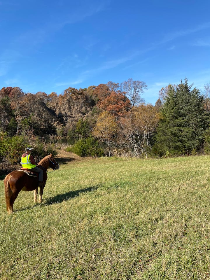 Things to Do in Boydton 5Star Authentic Experiences