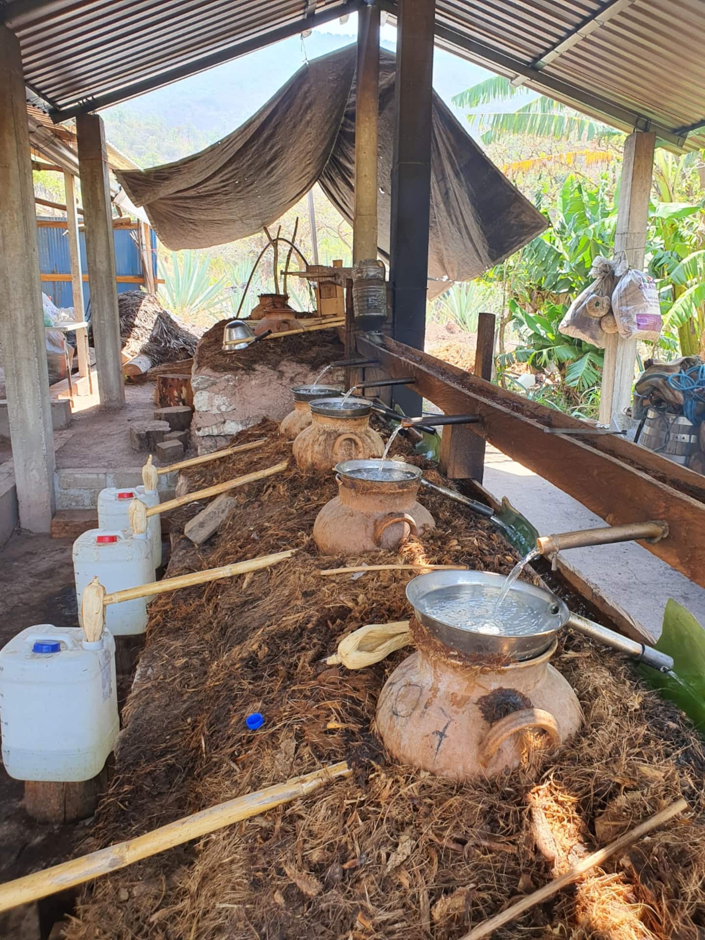 mezcal making process in oaxaca city