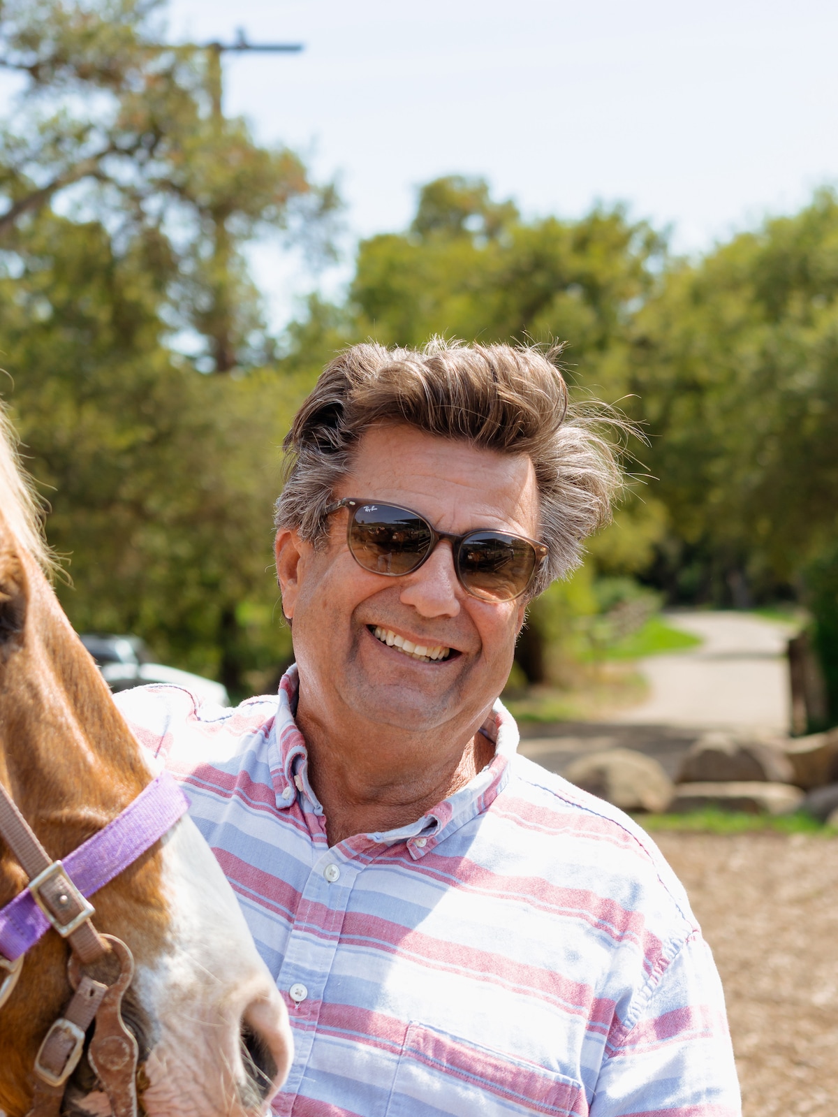 Guided horseback tour through trails in Summerland