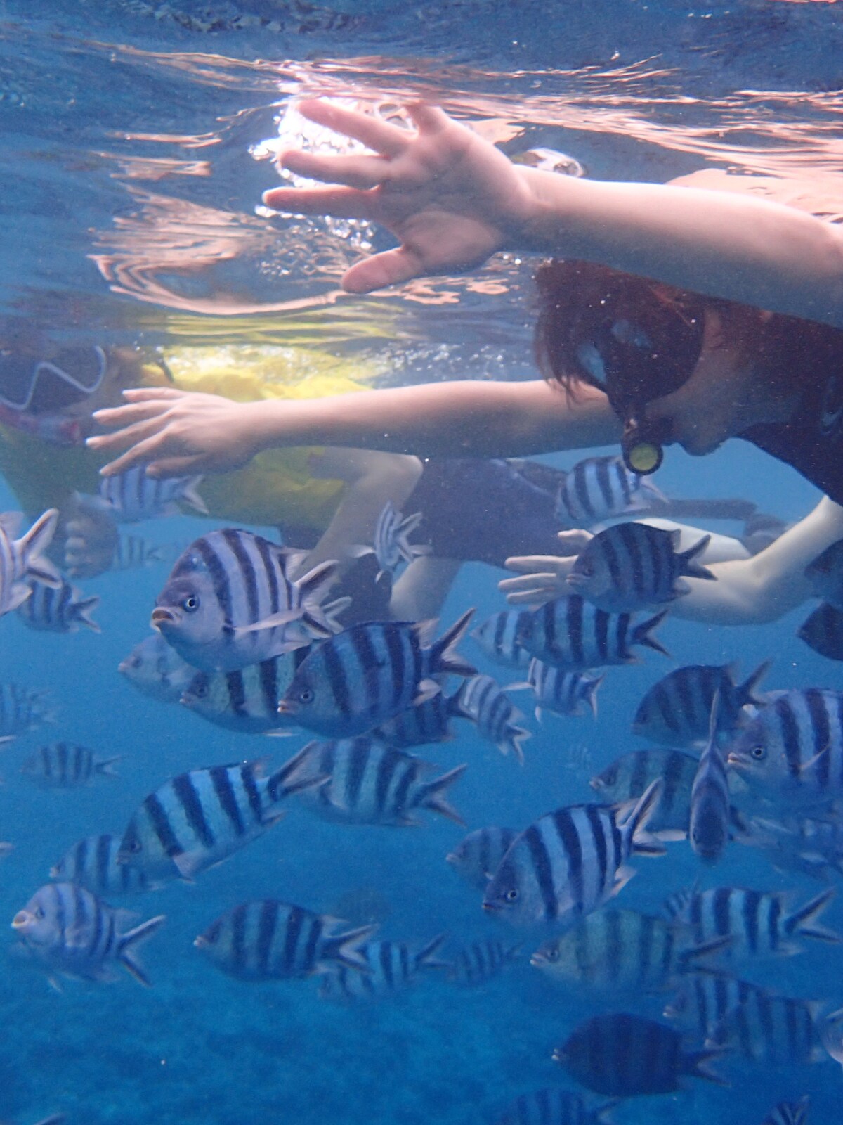 OKINAWA THINGS TO SEE visual data 6