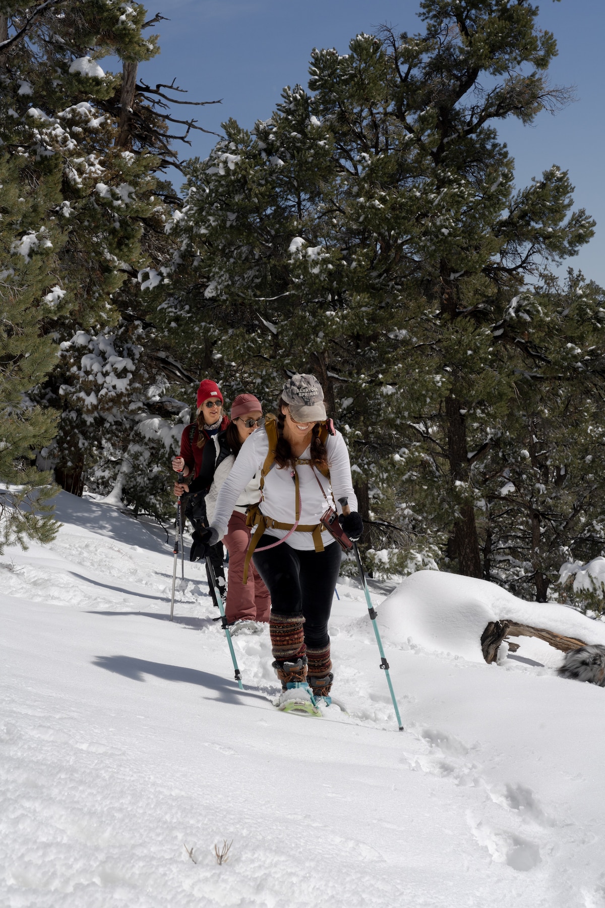 Hike or snowshoe across Big Bear trails