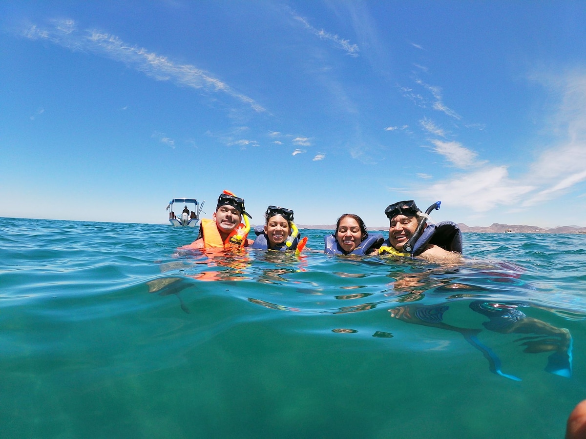 Baja California Sur les meilleures activités Visites et expériences