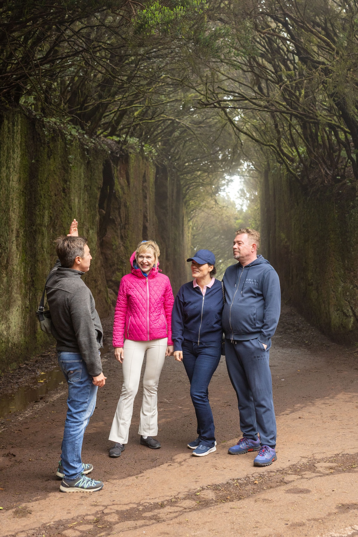 Anaga Forest & Mount Teide: Tenerife North Tour