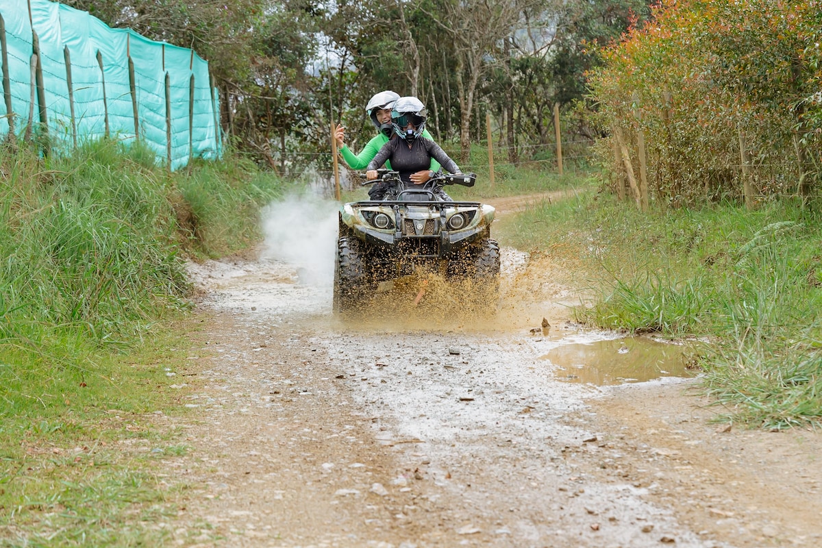 Ride an ATV through scenic mountain landscapes