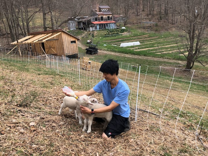 Things to Do in Boydton 5Star Authentic Experiences