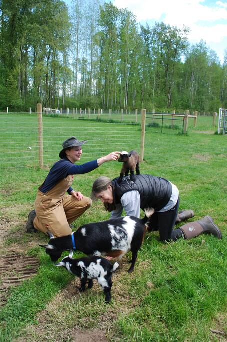 Was du in Quincy unternehmen kannst Authentische 5SterneEntdeckungen