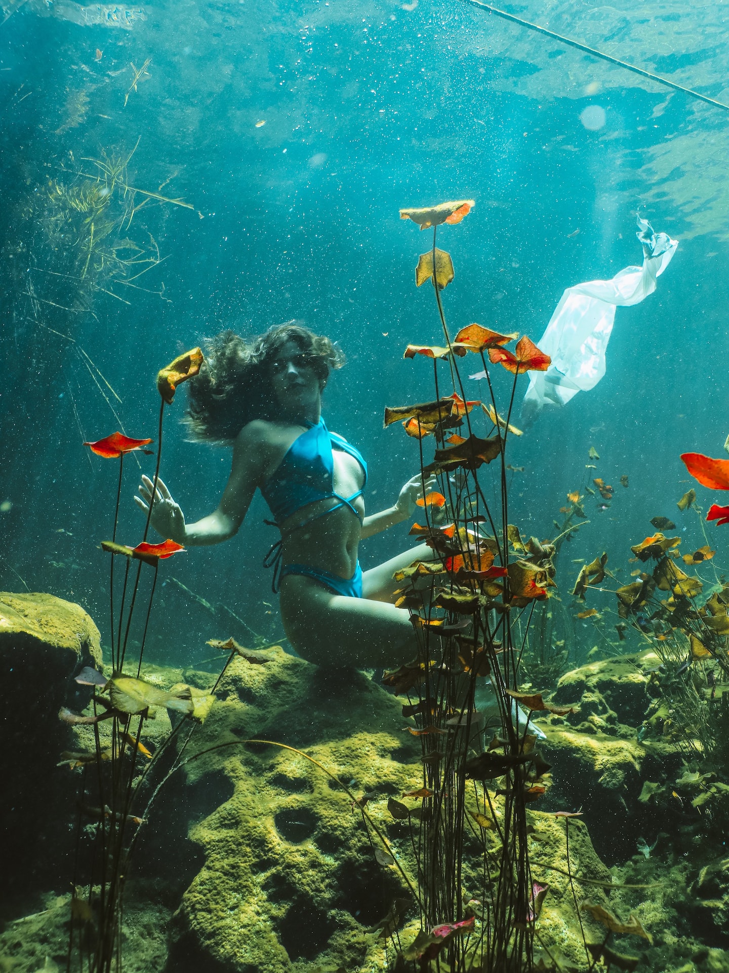 woman swimming underwater in one of the best tulum cenotes in mexico | Cenotes Tours Tulum