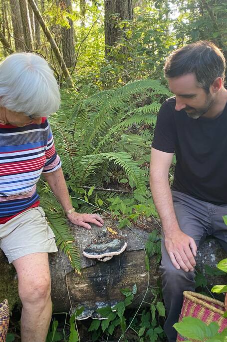 Was du in Quincy unternehmen kannst Authentische 5SterneEntdeckungen