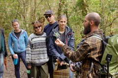 Foraging and Nature Connection in Wild Snowdonia