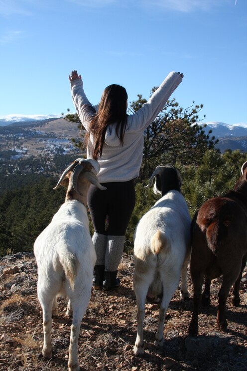 Показать полноэкранное фото от хозяина