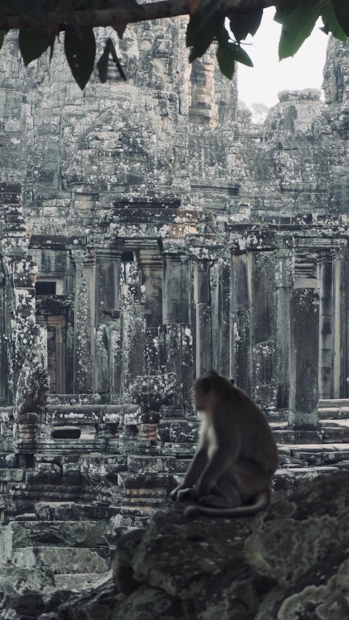 Bayon temple