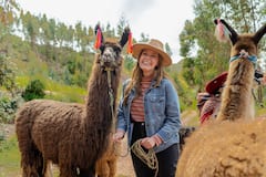Hike with alpacas and llamas