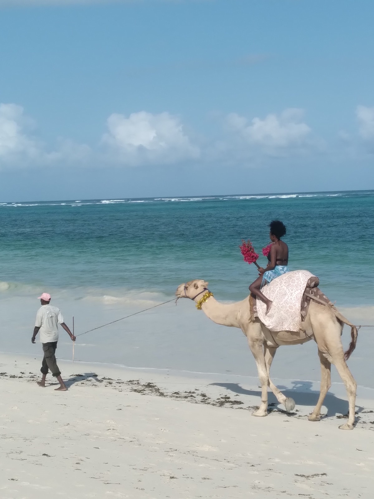 Mombasa : les meilleures activités | Visites et expériences uniques -  Mombasa County, Kenya | Airbnb