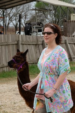 Pasea y habla con alpacas