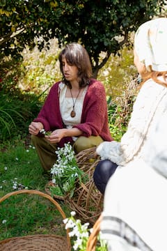 Explore the Wild and Medicinal Plants of Portugal