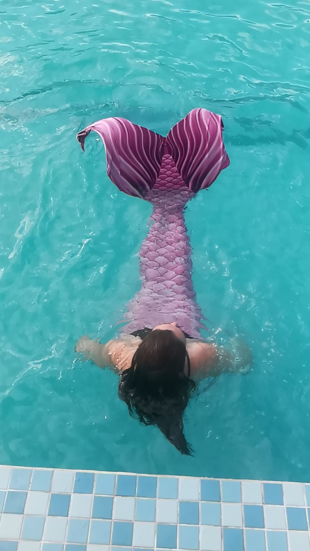 City Of Johannesburg Metropolitan Municipality Best things to do in City of Johannesburg Metropolitan Municipality