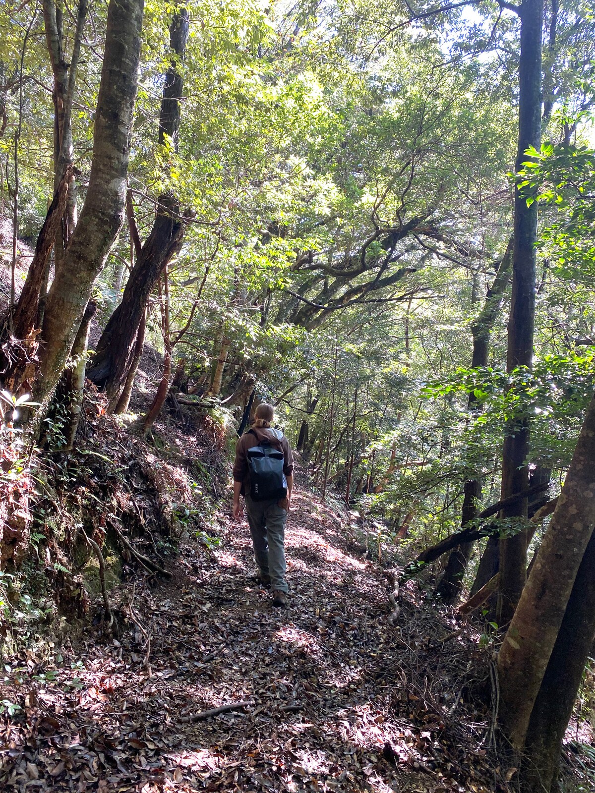 Las mejores actividades de Tōkai Region | Visitas y experiencias únicas ...