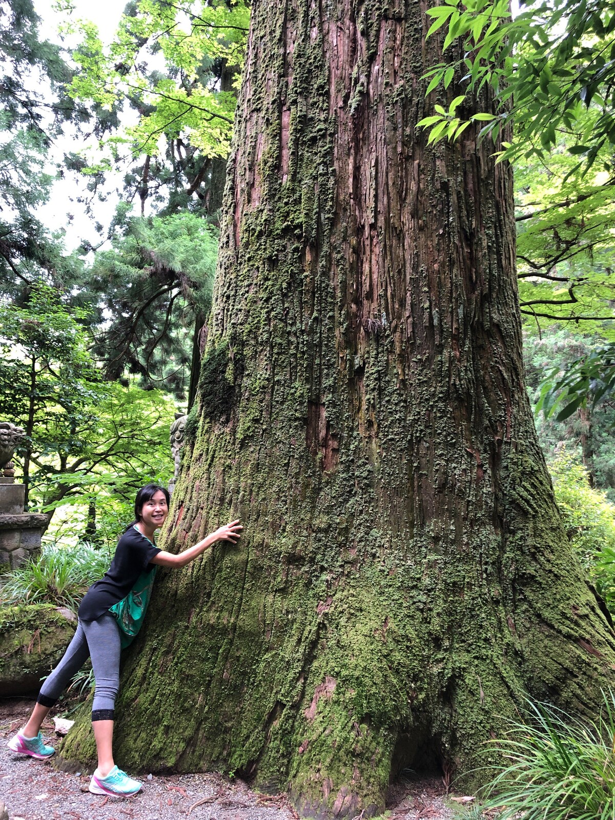 Best Things to Do in Tōkai Region | Unique Tours & Activities - Japan ...