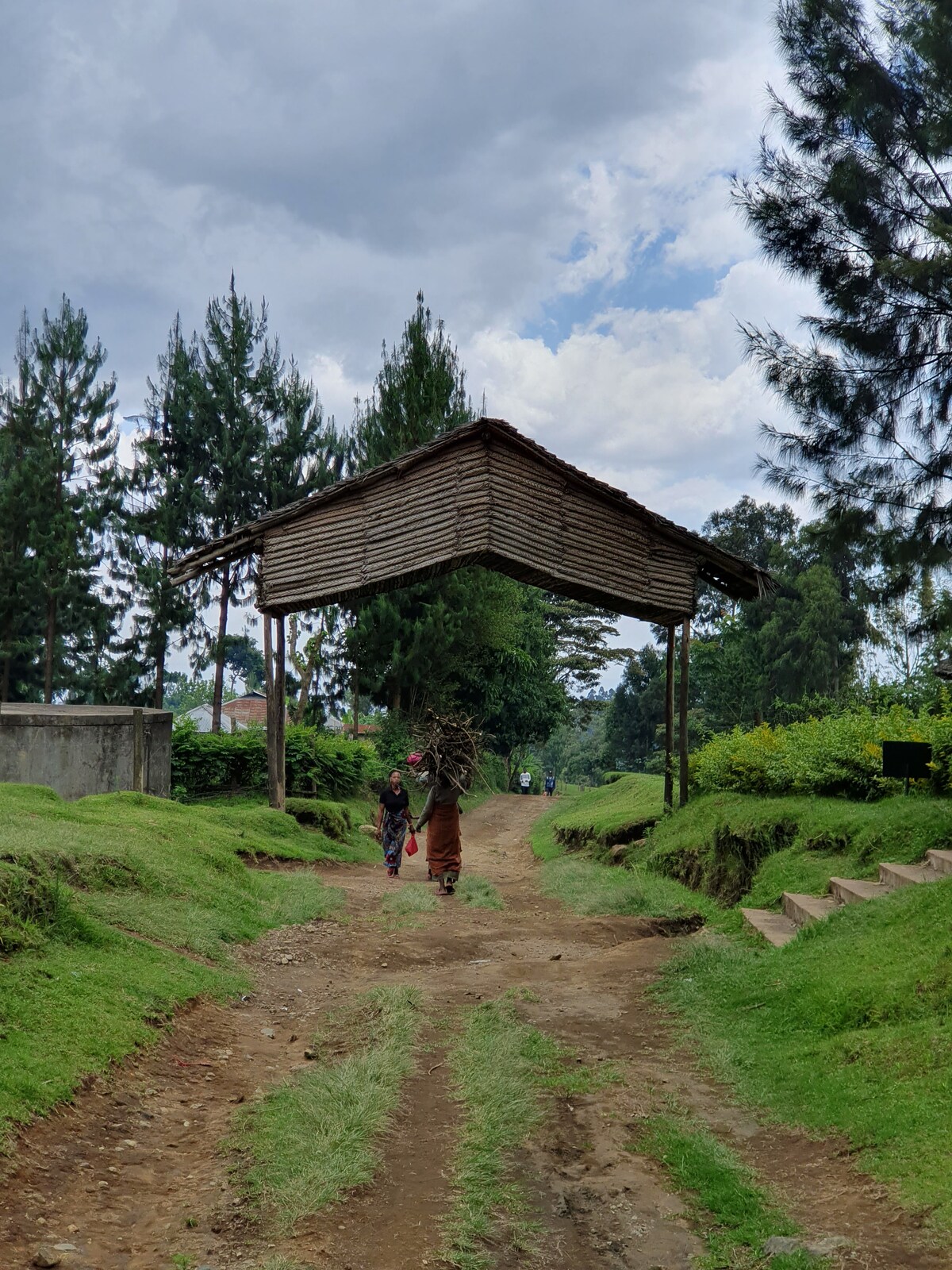 Best Things to Do in Arusha Region Unique Tours & Activities