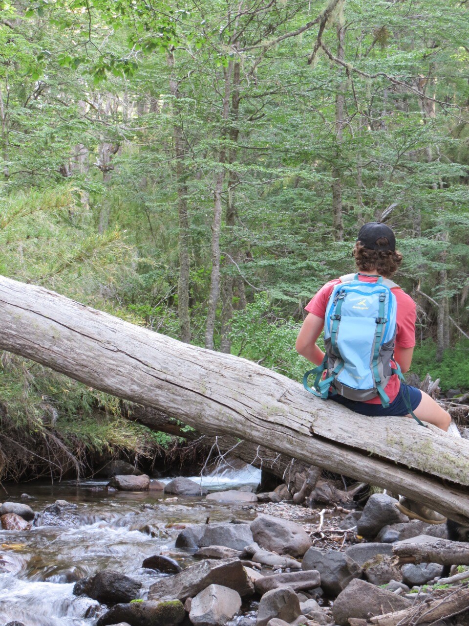 Was du in Patagonien unternehmen kannst Einzigartige Touren