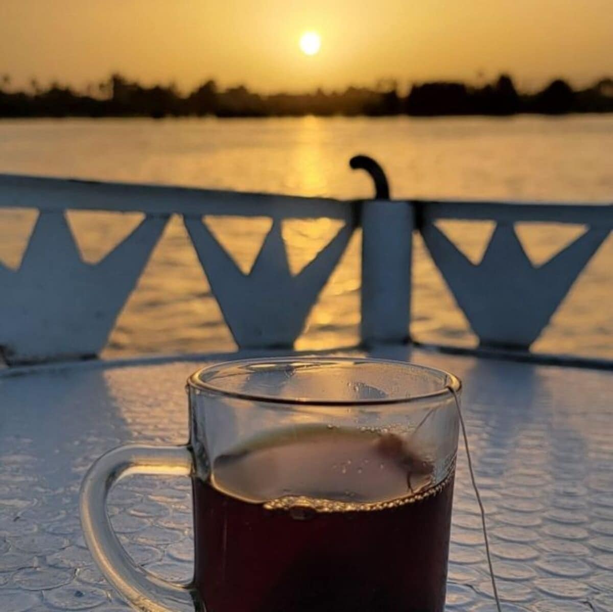 Best Things to Do in Aswan Governorate Unique Tours & Activities