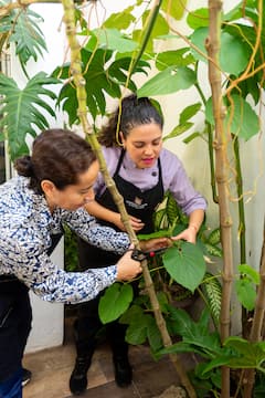 Preparación de una cena privada en la casa mexicana de un chef