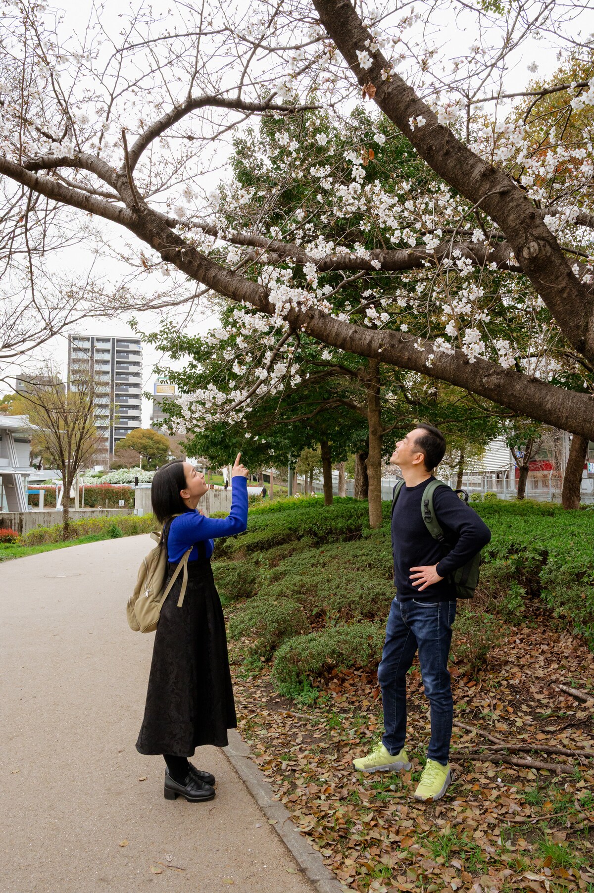 Personalized-Discover Osaka with A Magical Host · ☆5.0