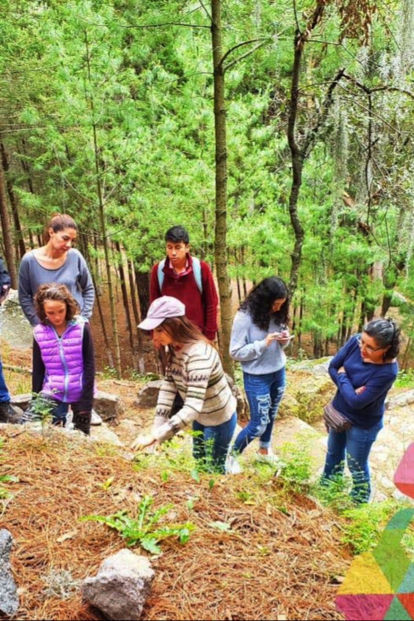 personas caminando por el santuario de las luciernagas